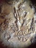 เหรียญทองแดงกะไหล่กรมหลวงชุมพรเขตอุดมศักดิ์ปี2539 กาญจณาภิเษก จ.สมุทรสงคราม ( เลี่ยมพลาสติก )
