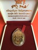 เหรียญเจริญพรบน ชินบัญชรมหาปราบ หลวงปู่ทิม อิสริโก วัดละหารไร่ จ.ระยอง 1 กันยายน 2557 เนื้อนวะหน้ากากทอง เลี่ยมพลาสติก