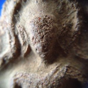 พระกรุขุนแผนหน้าเทวดา เนื้อดินหยาบ วัดบ้านกร่าง อ.ศรีประจันต์ จ.สุพรรณบุรี พิมพ์พรายคู่ตัดเดี่ยว สร้างสมัยอยุธยา - Image 2