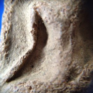 พระกรุขุนแผนหน้าเทวดา เนื้อดินหยาบ วัดบ้านกร่าง อ.ศรีประจันต์ จ.สุพรรณบุรี พิมพ์พรายคู่ตัดเดี่ยว สร้างสมัยอยุธยา - Image 3