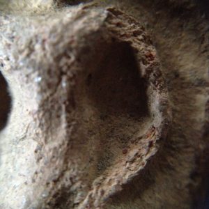 พระกรุขุนแผนหน้าเทวดา เนื้อดินหยาบ วัดบ้านกร่าง อ.ศรีประจันต์ จ.สุพรรณบุรี พิมพ์พรายคู่ตัดเดี่ยว สร้างสมัยอยุธยา - Image 4