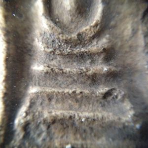 สมเด็จหลวงปู่ภู - Image 2