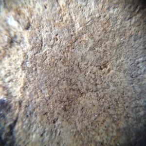 สมเด็จหลวงปู่ภู - Image 4