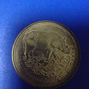 เหรียญเงินอนุรักษ์ธรรมชาติและสัตว์ป่ากระซูหน้าเหรียญ50บาท - Image 3