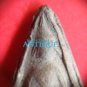 พระนางพญาเนื้อดิน กรุวัดดอนลาน จ. สุโขทัยพิมพ์ใหญ่ อายุเก่าหลายร้อยปีราคาไม่แพงน่าเก็บไว้บูชา องค์ที่ 6 - Image 2