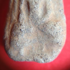 พระนางพญาเนื้อดิน กรุวัดดอนลาน จ. สุโขทัยพิมพ์ใหญ่ อายุเก่าหลายร้อยปีราคาไม่แพงน่าเก็บไว้บูชา องค์ที่ 7 - Image 3