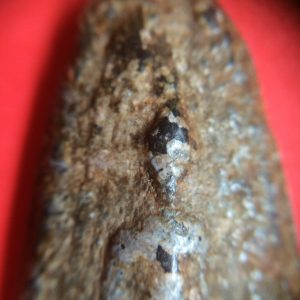 พระยอดอัฎฐารสเนื้อชินเขียวกรุ วัดพระศรีรัตนมหาธาตุ จ.พิษณุโลกองค์ครูเป็นแชมป์ ตำแหน่ง 2 ใบประกาศ(อ.สามพรานที่2,อ.เนินมะขามที่1) - Image 3