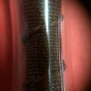 ตะกรุดหลวงปู่ต้วน "วัดต้นหัด" อ.สวรรคโลก จ.สุโขทัย ยาวประมาณ4นิ้วครึ่ง หายาก เลี่ยมพร้อมใช้ - Image 2