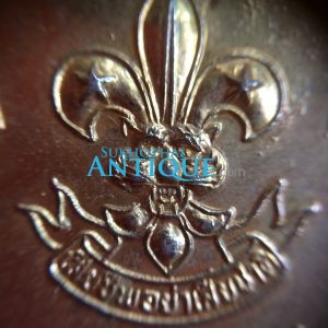 เหรียญพระยาพิชัยดาบหัก รุ่น ลูกเสีอชาวบ้าน 5 พ.ย.2519 - Image 4