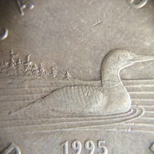 เหรียญ DOLLAR  CANADA หน้าเป็นรูป พระนางอลิสเบ็ธ หลังรูปเป็ดเล่นน้ำ โลหะเนื้อกะไหล่นาก - Image 4