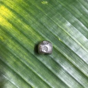 เม็ดเงินพดด้วงหนักหนึ่งบาท ตราครุฑ สมัย ร.2 ประมาณ ปี พ.ศ.2352 - 2367 .ตอกตราสวยงามคมชัดมาก - Image 4