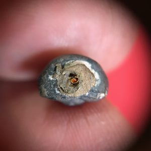 พระปิดตาเนื้อนวะหล่อโบราณผสมมวลสารกริ่งชินบัญชรหลวงปู่ทิมและกริ่งหลวงปู่โต็ะ ก้นอุดตระกุดทองคำ - Image 2