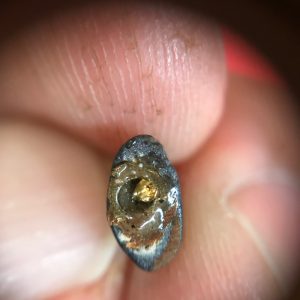 พระชัยวัฒน์เนื้อนวะหล่อโบราณ ผสมมวลสารพระกริ่งชินบัญชรหลวงปู่ทิม กริ่งหลวงปู่โต็ะ ก้นอุดตระกุดทองคำ - Image 3