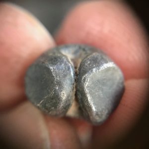 เม็ดเงินพดด้วงหนักสองสลึง สุโขทัย ตราหอยสังข์ + ช้างการ์ตูน มีรอยบาก สวยงามสมบูรณ์มากๆ - Image 3