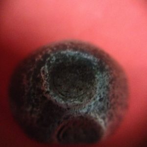 พดด้วงเม็ด 1 บาทสมัยพระนารายณ์ปี พ.ศ. 2199-2231 ตรา บัว หรือ พุ่มข้าวบิณฑ์ใต้จุดบนมีเส้นสองแฉก สวยคมชัด (เม็ดที่ 4) - Image 2