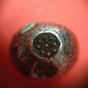 พดด้วงเม็ด 1 บาทสมัยพระเจ้าทรงธรรมปี พ.ศ. 2155-2171 ตรา เปลวเพลิง เป็นรูปคล้ายดวงไฟมีเปลวลอยสองข้าง สวยคมชัด (เม็ดที่ 1) - Image 2