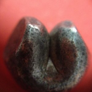 พดด้วงเม็ด 1 บาทสมัยพระเจ้าทรงธรรมปี พ.ศ. 2155-2171 ตรา เปลวเพลิง เป็นรูปคล้ายดวงไฟมีเปลวลอยสองข้าง สวยคมชัด (เม็ดที่ 5) - Image 3