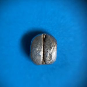 พดด้วงเก่าสมัยกรุงสุโขทัย ตราสิงห์ เนื้อเงินเม็ด เฟื้อง สวบงามคมชัดขนาดนี้หายากมาก - Image 3