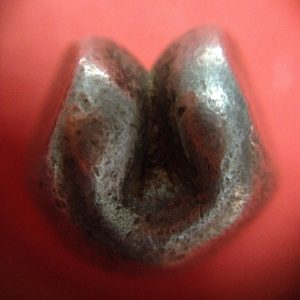 พดด้วงเม็ด 1 บาทสมัยพระนารายณ์ปี พ.ศ. 2199-2231 ตรา บัว หรือ พุ่มข้าวบิณฑ์ใต้จุดบนมีเส้นสองแฉก สวยคมชัด (เม็ดที่ 3) - Image 3