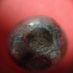 พดด้วงเม็ด 1 บาทสมัยพระนารายณ์ปี พ.ศ. 2199-2231ตราครุฑ สวยคมชัด (เม็ดที่ 3) - Image 2