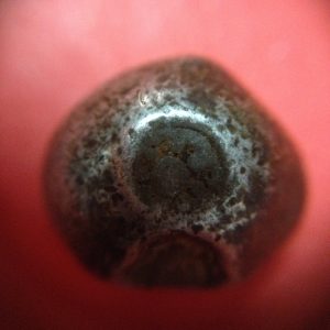 พดด้วงเม็ด 1 บาทสมัยพระนารายณ์ปี พ.ศ. 2199-2231ตราครุฑ สวยคมชัด (เม็ดที่ 4) - Image 2