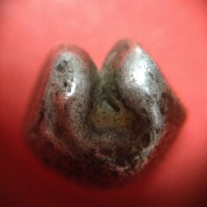 พดด้วงเม็ด 1 บาทสมัยพระนารายณ์ปี พ.ศ. 2199-2231ตราครุฑ สวยคมชัด (เม็ดที่ 4) - Image 3