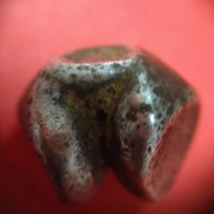 พดด้วงเม็ด 1 บาทสมัยพระนารายณ์ปี พ.ศ. 2199-2231ตราครุฑ สวยคมชัด (เม็ดที่ 4) - Image 4