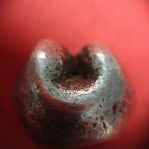 พดด้วงเม็ด 1 บาทสมัยพระนารายณ์ ปี พ. ศ. 2199-2231 ตราครุฑ สวยคมชัด (เม็ดที่ 1) - Image 3