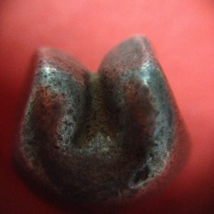 พดด้วงเม็ด 1 บาทสมัยสมเด็จพระเจ้าอุทุมร (ขุนหลวงหาวัด) พ.ศ.2301-2302 ตราช่ออุทุมพร รูปจุด 4 จุด อยุ่ภายในกรอบกนกเปิดล่าง สวยคมชัดมาก เม็ดที่ 2 - Image 3