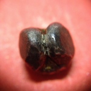 พดด้วงเม็ดสลึงสมัยอยุธยา ตราช้าง-ตราสังข์ สวยงามคมชัดมากๆ เม็ดที่ 3 - Image 4