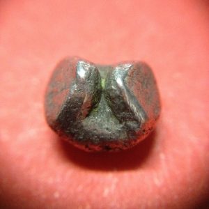 พดด้วงเม็ดสลึงสมัยอยุธยา ตราช้าง-ตราสังข์ สวยงามคมชัดมากๆ เม็ดที่ 2 - Image 4