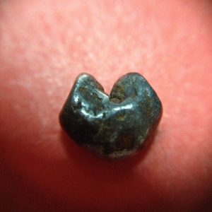 พดด้วงเม็ดเฟื้องสมัยอยุธยา ตราสังข์ สวยงามคมชัดมากๆ เม็ดที่ 4 - Image 2