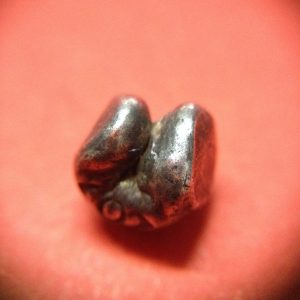 พดด้วงเม็ดสลึงตรากระต่ายอ้วน-หอยสังข์ สุโขทัย สวยงามดูคลาสสิก หายากมาก มาก  เม็ดที่ 5 - Image 4