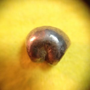 พดด้วงเม็ดสลึงตรากระต่ายอ้วน-หอยสังข์ สุโขทัย สวยงามดูคลาสสิก หายากมาก มาก  เม็ดที่ 3 - Image 3