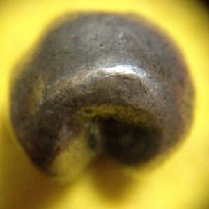 พดด้วงรัตนโกสินทร์เม็ดบาทสมัย ร.2 พ.ศ.2352-2367 (ตราครุฑ-กรงจักร )ตราสวยงาม เม็ดที่ 1 - Image 3