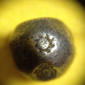 พดด้วงรัตนโกสินทร์เม็ดบาทสมัย ร.1 พ.ศ.2325-2352 (ตราอุณาโลม-กรงจักร )ตราสวยงามคลาสสิก เม็ดที่ 4 - Image 2