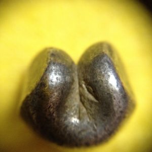 พดด้วงรัตนโกสินทร์เม็ดบาทสมัย ร.1 พ.ศ.2325-2352 (ตราอุณาโลม-กรงจักร )ตราสวยงามคลาสสิก เม็ดที่ 4 - Image 4