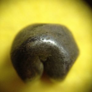 พดด้วงเม็ด 1 บาทในรัชกาลที่1  พ.ศ. 2325- 2352 ( ตรากรีหรือตรีศูลหมายถึงอาวุธพระศิวะ) เม็ดที่ 2  สวยชัดเจนดี - Image 3