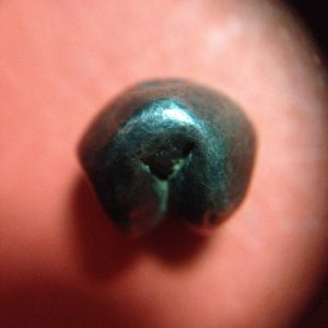 พดด้วงเม็ดสลึงตรากระต่ายอ้วน-หอยสังข์ สุโขทัย สวยงามดูคลาสสิก หายากมาก มาก  เม็ดที่  6 - Image 3