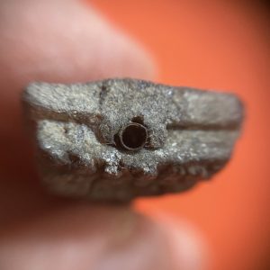 หลวงปู่ทวดเนื้อว่านปัดทอง ฝังตะกรุดปี 14 อ. นองวัดทรายขาว มีผงปี 97 สีดำเทา สวยคมชัดมากๆ - Image 4