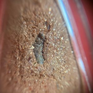 หลวงปู่ทวด รุ่น ปาฏิหาริย์ วัดห้วยมงคล เนื้อว่านออกแดงและฝังเม็ดพระธาตุ - Image 3