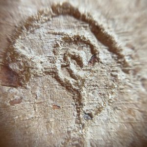 สมเด็จเนื้อว่านหลังยันต์ - Image 3