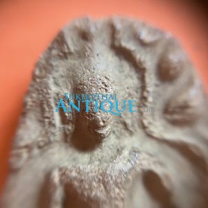 พระขุนแผน กรุวัดบ้านกร่าง จ.สุพรรณบุรี เนื้อดิน พิมพ์พลายคู่ตัดเดี่ยวหน้าเทวดา สวยเดิม - Image 3