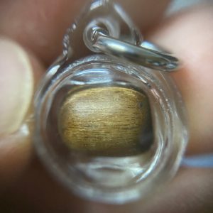 ไม้กระท้อนหลวงปู่บุญวัดกลางบางแก้ว - Image 2