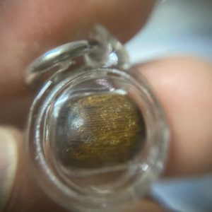 ไม้กระท้อนหลวงปู่บุญวัดกลางบางแก้ว - Image 4