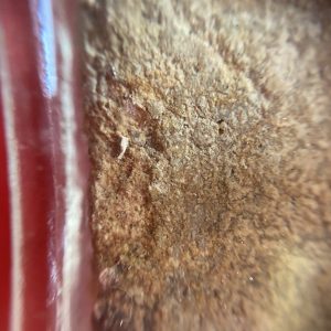 พระสมเด็จเกศ เนื้อมวลสารสมเด็จวัดระฆัง - Image 3