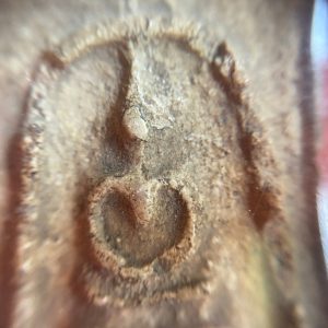 พระสมเด็จเกศ เนื้อมวลสารสมเด็จวัดระฆัง - Image 4