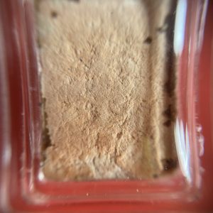 พระของขวัญปากนํ้ารุ่นแรกสร้างโดย "หลวงพ่อสด จัทสโร" เนื้อผงสีขาวนวลอมชมภู เคลือบเชอร์แลค เลี่ยมพลาสติก - Image 2