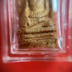 พระรอดวัดพระสิงห์ปี2495 พิมพ์สวยเนื้อดี เลี่ยมพลาสติกอย่างหนา - Image 4