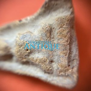 พระนางพญาเนื้อดินกรุวัดดอนลาน จ. สุโขทัยพิมพ์ใหญ่ อายุเก่าหลายร้อยปี องค์ที่ 10 - Image 3